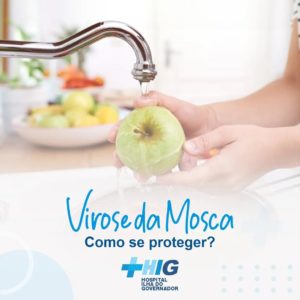 Virose da Mosca: como se proteger?